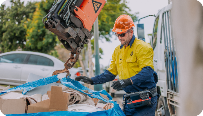 Scan and book collection